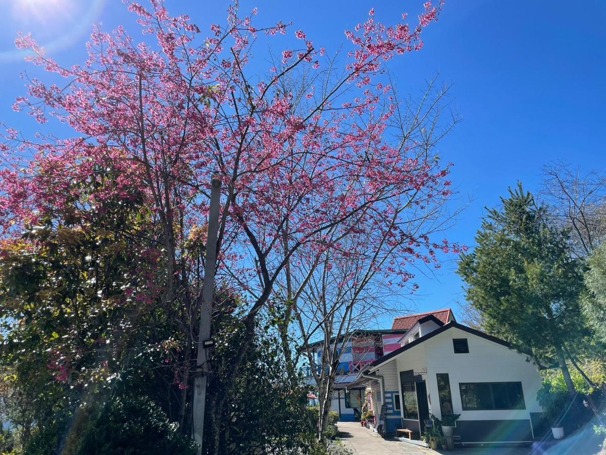 Julie's Garden, Cingjing - Fon Chin Homestay Renai Eksteriør bilde