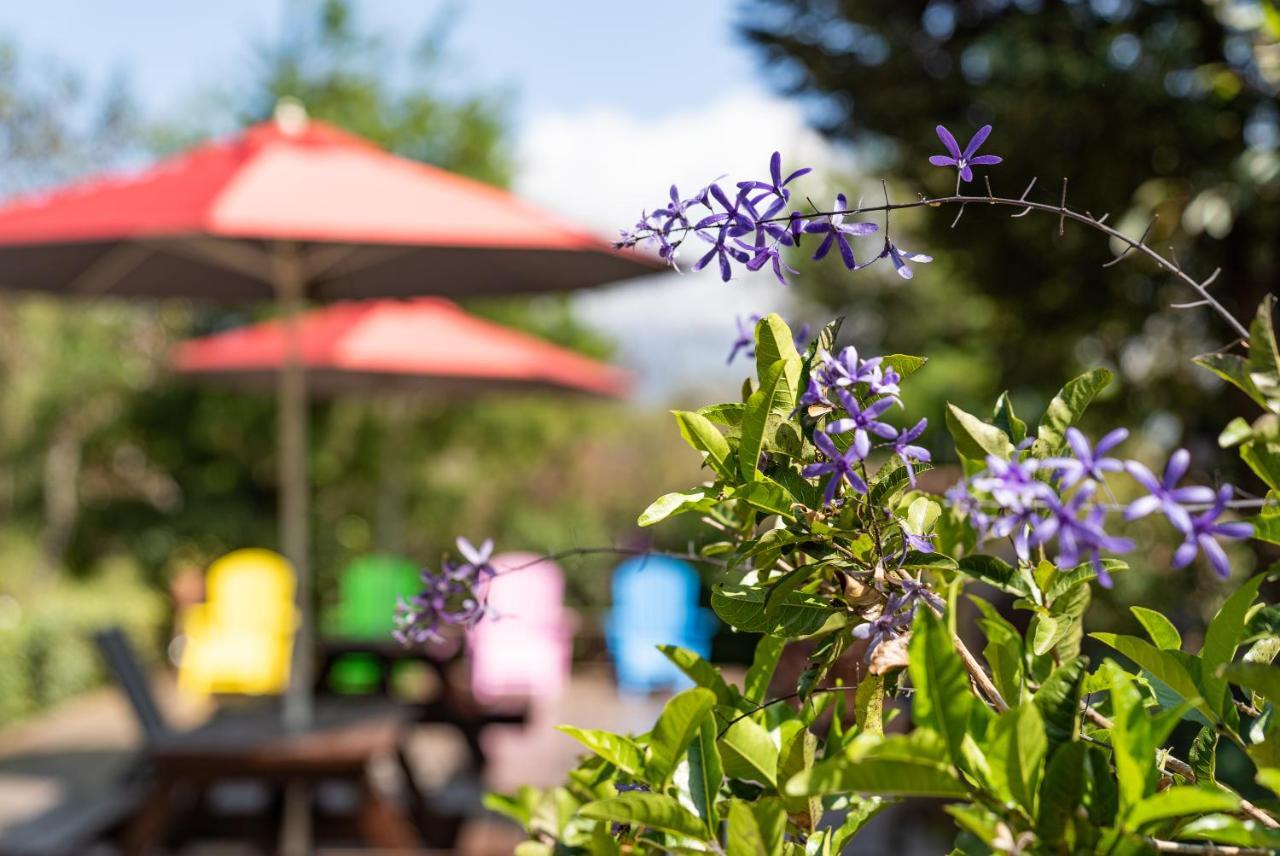 Julie's Garden, Cingjing - Fon Chin Homestay Renai Eksteriør bilde